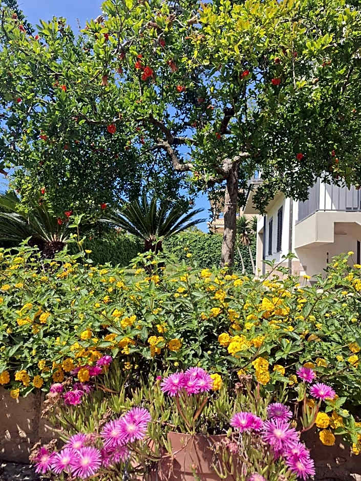 IL MELOGRANO RESIDENCE MARZAMEMI