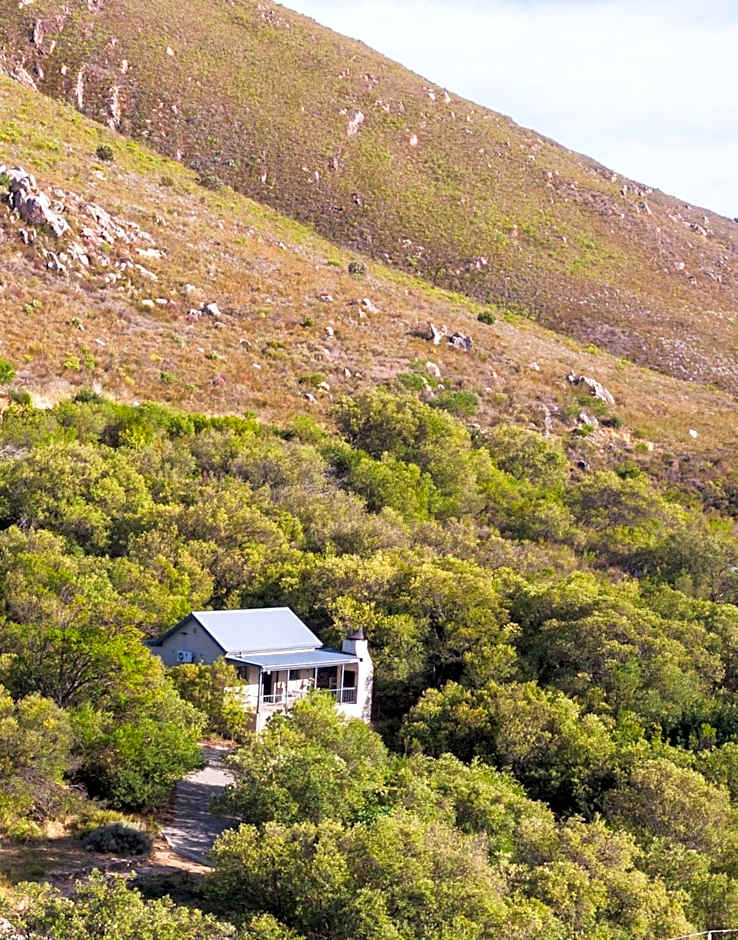 The Baths Natural Hot Springs