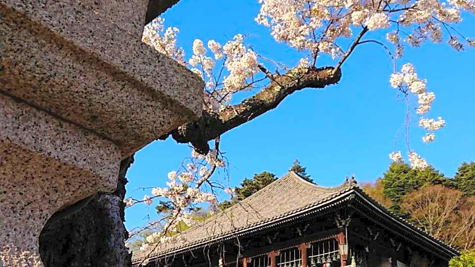 Nara Park Hotel