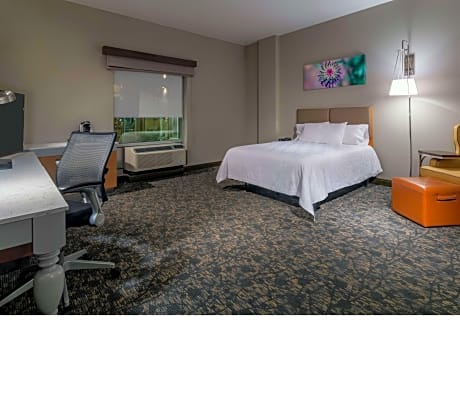 1 King Mobility Accessible W/Roll In Shower