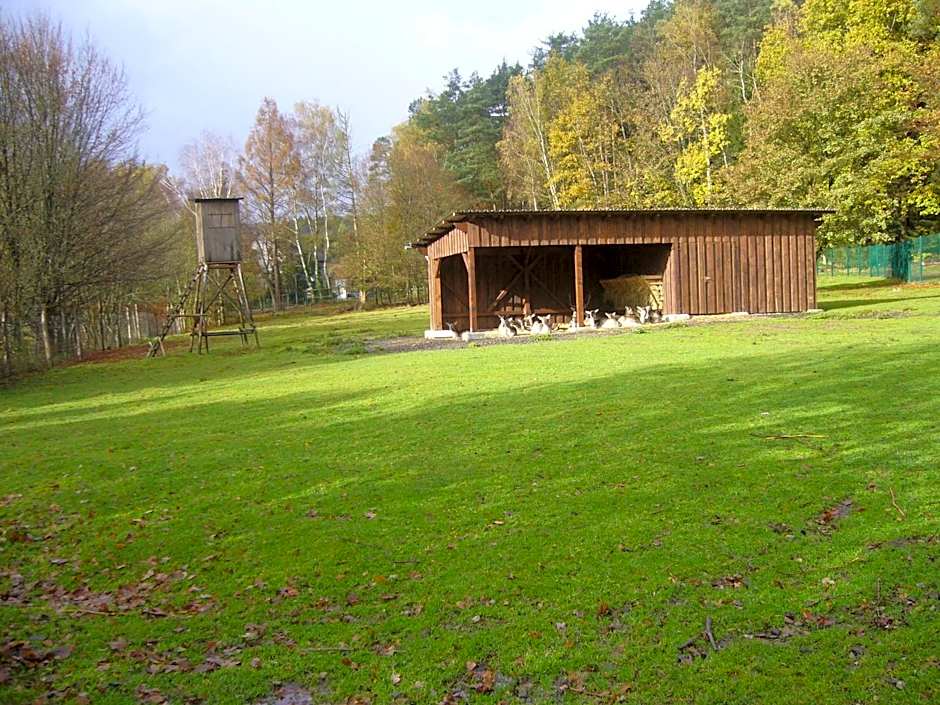 Hotel Am Wildpark