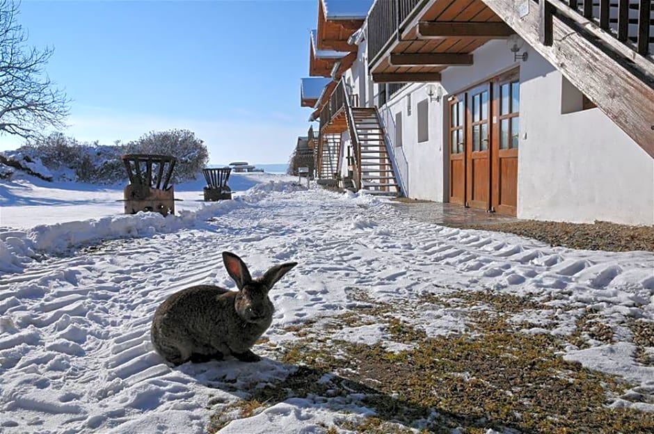 Geinberg Suites & Vianova  Center