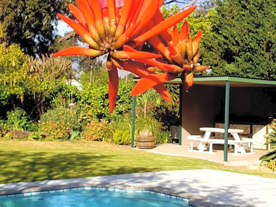 KaapsePracht Bed & Breakfast