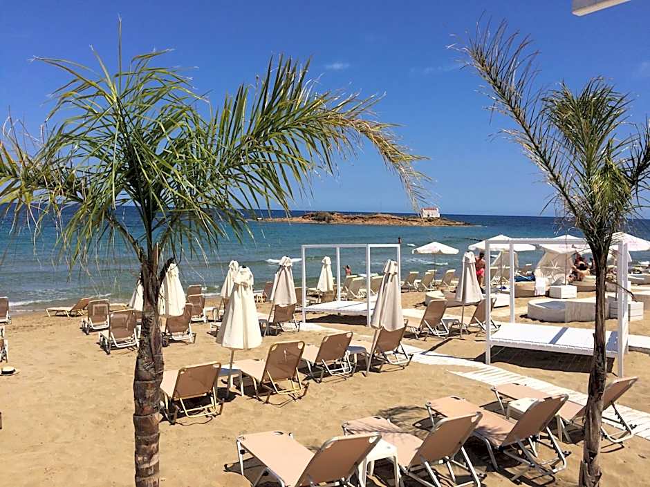 Bella Elena by Estia