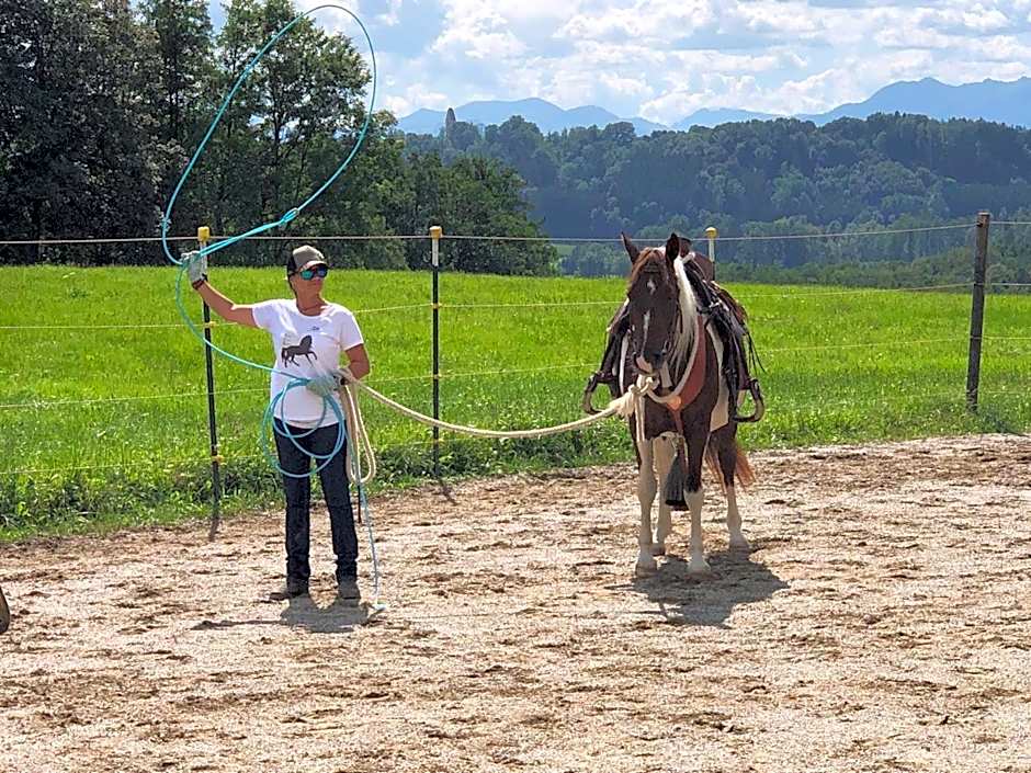 Der Blankhof "Back to Roots"