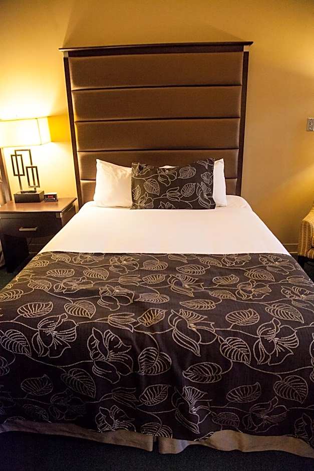 Medicine Hat Lodge, Trademark Collection by Wyndham