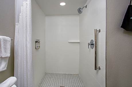 1 Queen Suite Comm Mobility Accessible Roll In Shower
