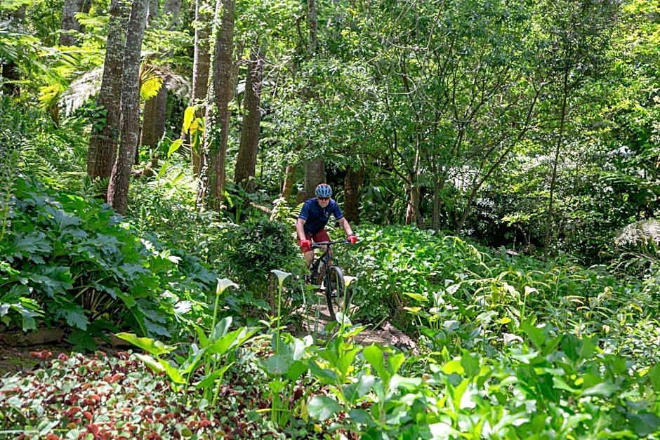 The Cellars-Hohenort