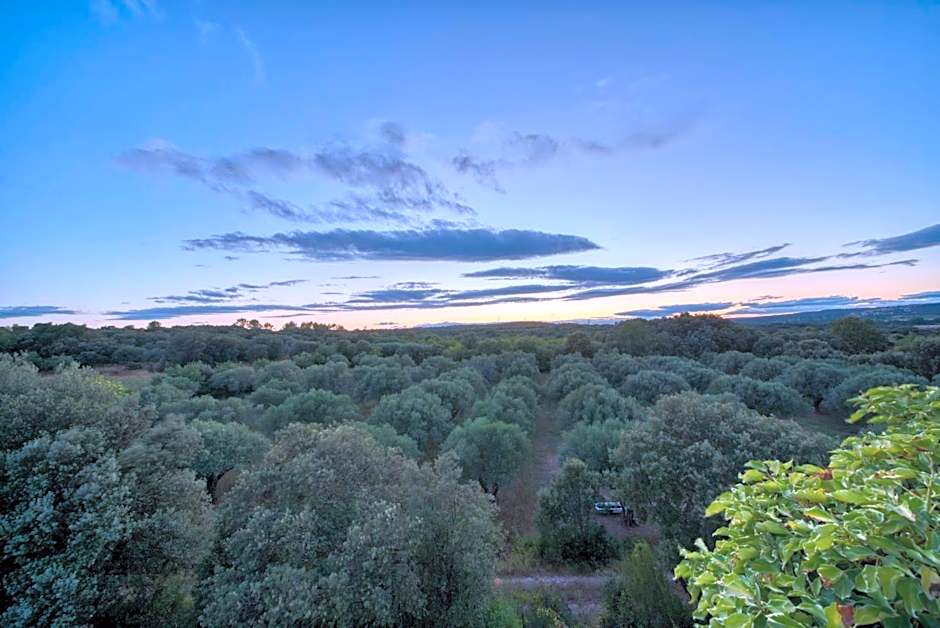 Hotel Restaurant Le Gardon - Pont du Gard