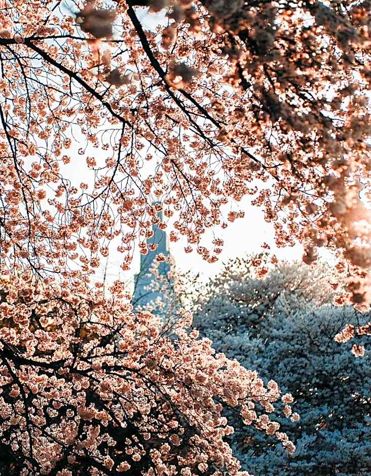 season guest house in nishi shinjuku 100 square meters, 4 bedrooms, 2 living rooms