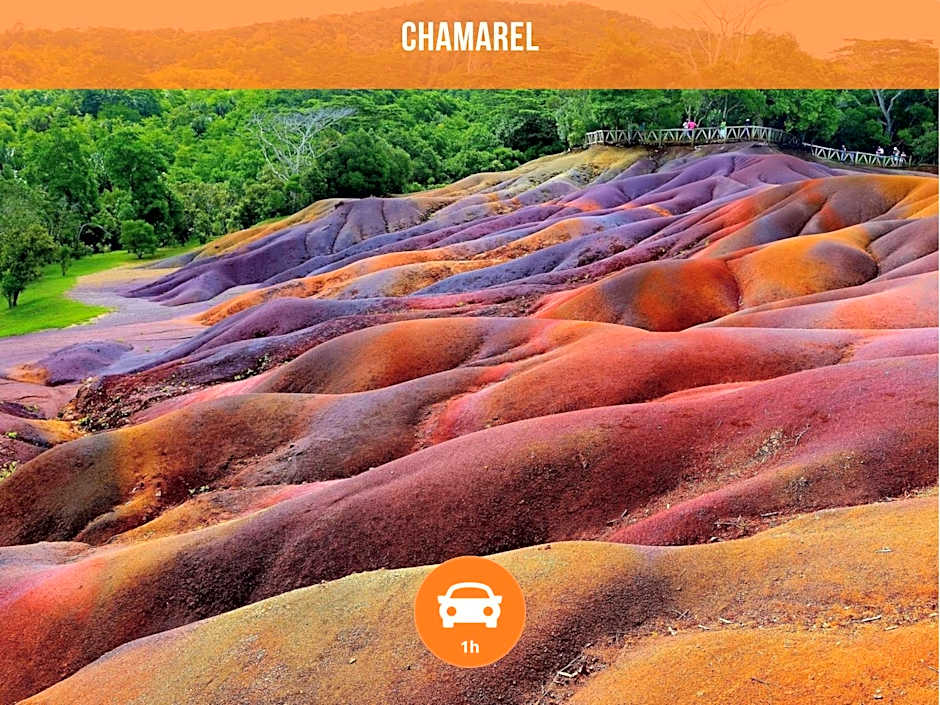 Villa Alizée - Boutique Hôtel Expérience - Idéal Couples & Pros - Piscine - Restaurant - Rooftop bar - Parking privé - 10min Port-Louis - Ambiance Tropical chic & authentique