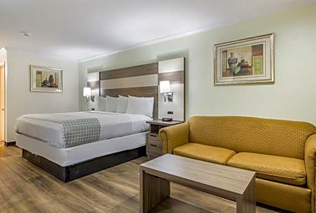 King Room - Disability Access