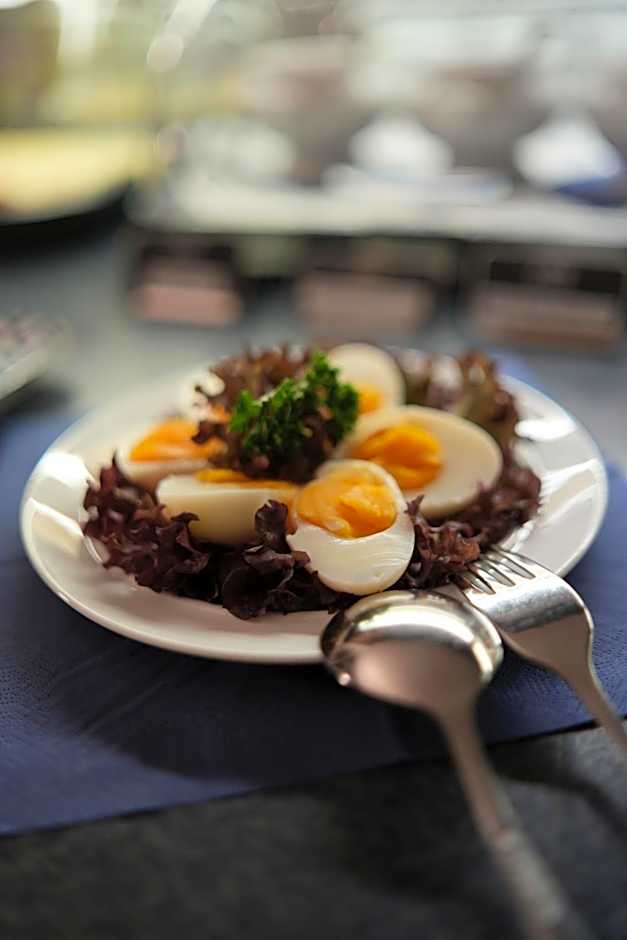 Hotel Goldener Adler