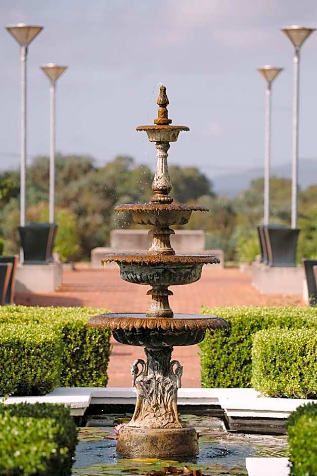 Bimbadgen Estate Vineyard