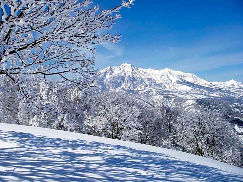 Madarao Elm Pension