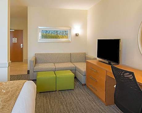 King Suite with Walk In Shower - Non-Smoking