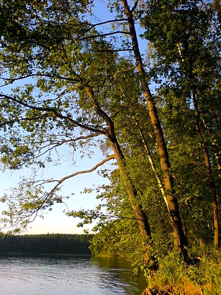 Samodzielny Dom Przy Lesie