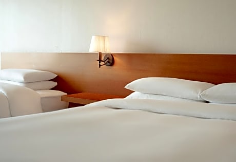Superior Twin Room with Sea View + Wellness program for 3 (per night)
