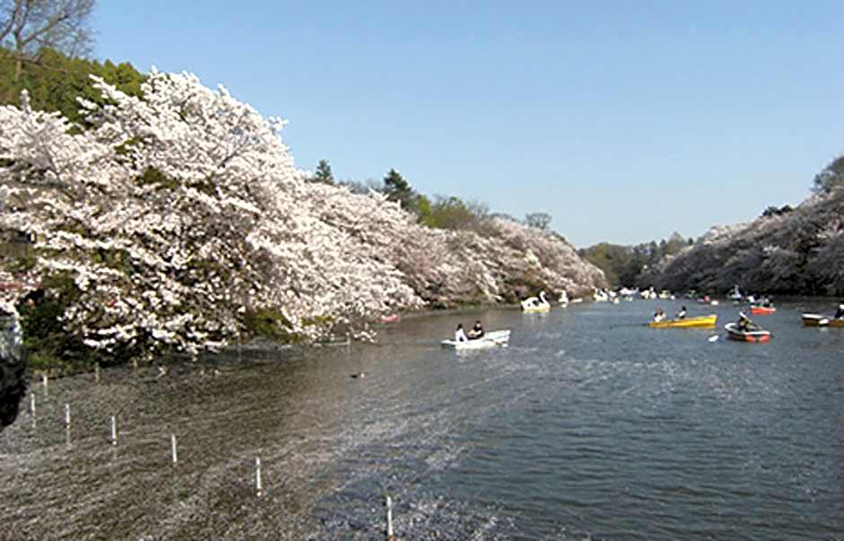 Kichijoji Excel Hotel Tokyu