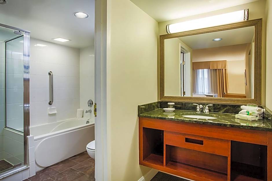 Holiday Inn Saratoga Springs By IHG