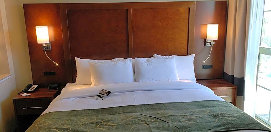 Comfort Suites Denver near Anschutz Medical Campus