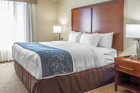 King Suite - Accessible/Non-Smoking