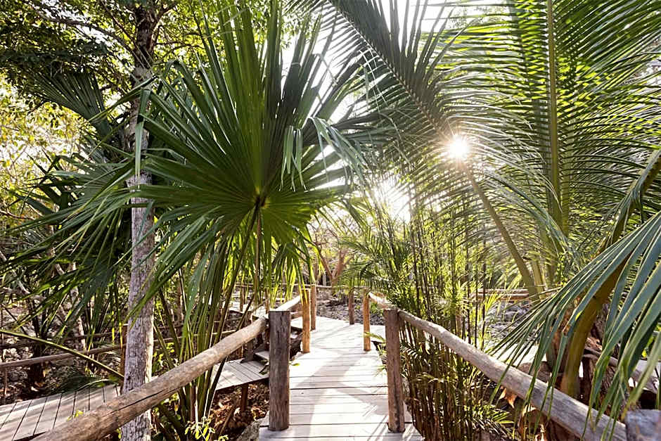 Pepem Eco Hotel Tulum at the Jungle