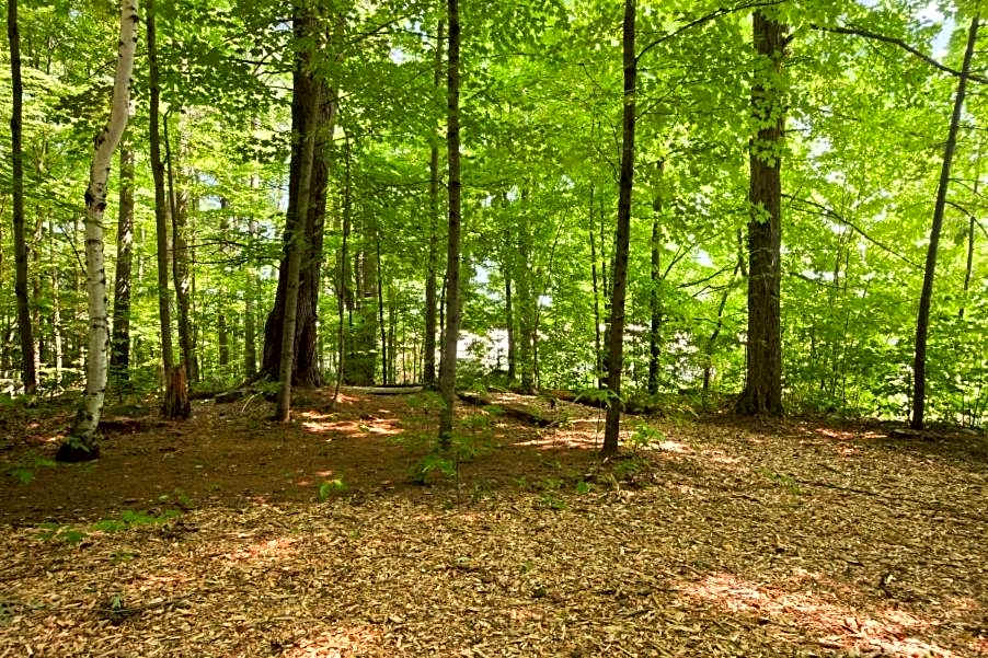 Super 8 by Wyndham Lake George/Downtown