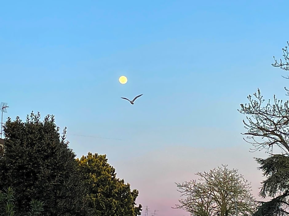 La casa di Celeste B&B