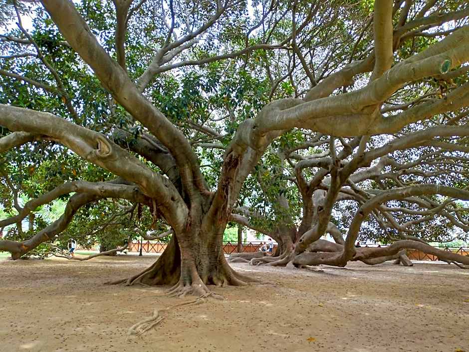 Gemma Di Gallura Charme B&B