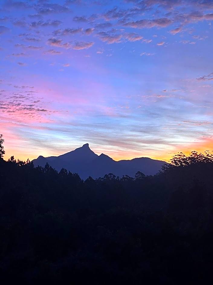 Ecoasis Mami Wata Rainforest Haven