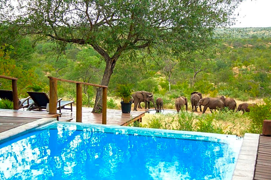 Casart Game Lodge