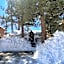 The Cuddle Inn - True feeling of a great cabin! Beautiful and homey! Walking distance to the lake!