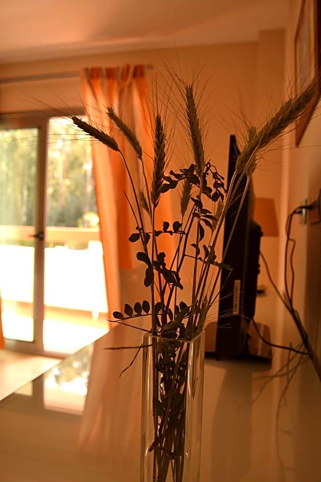 Hotel Pradillo Conil