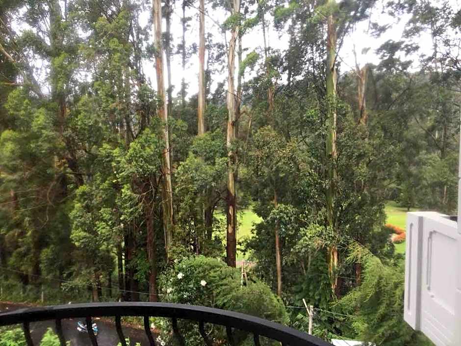 Panorama Green View Hotel