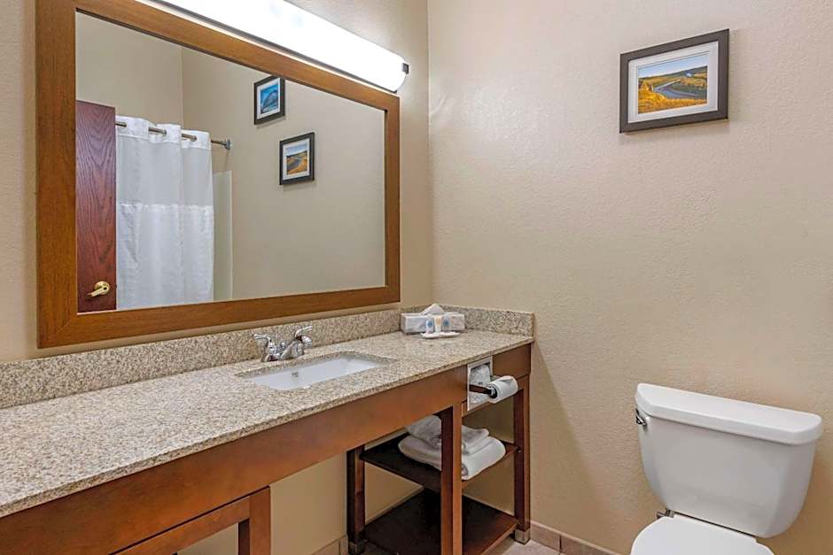 Comfort Inn & Suites St Louis-O'Fallon
