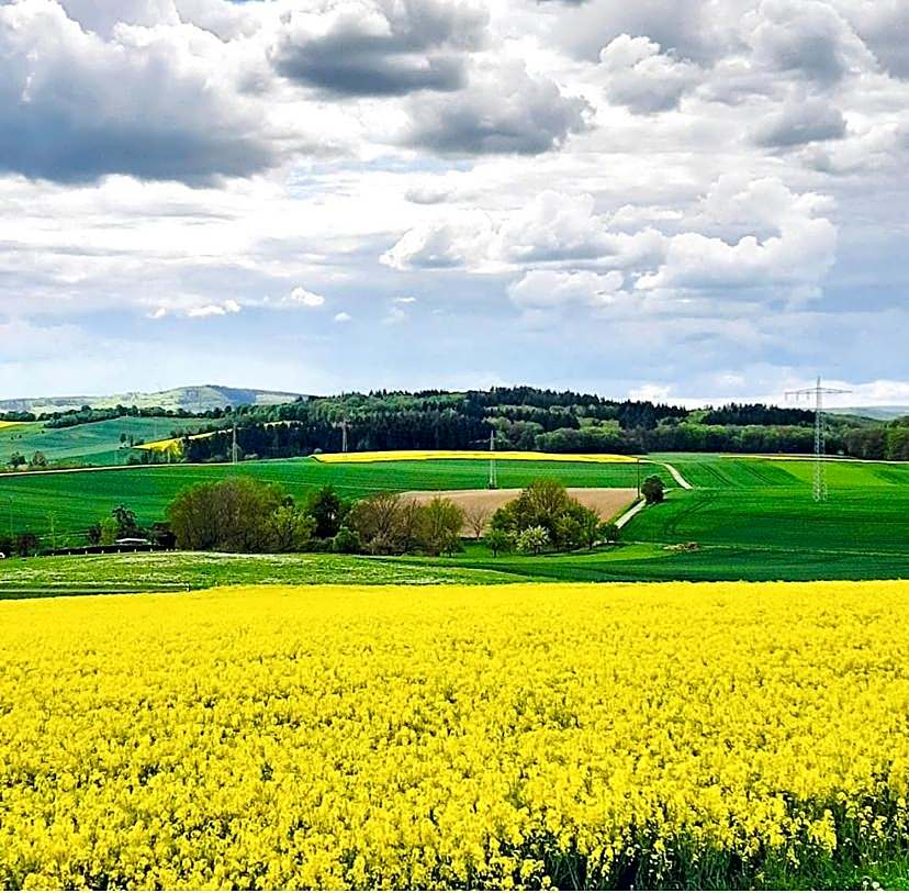 Eifelhof Brohl