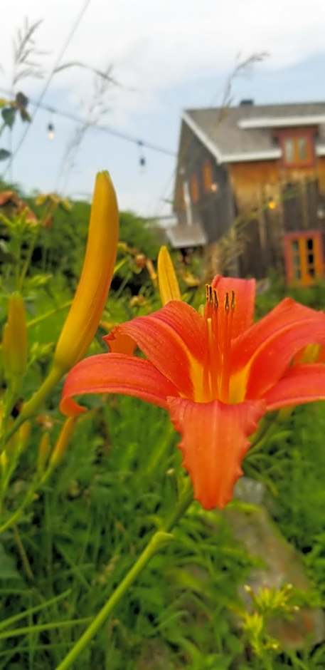 Auberge Le P'tit Bonheur