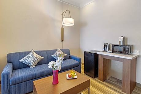 1 King Suite Accessible Bath Tub