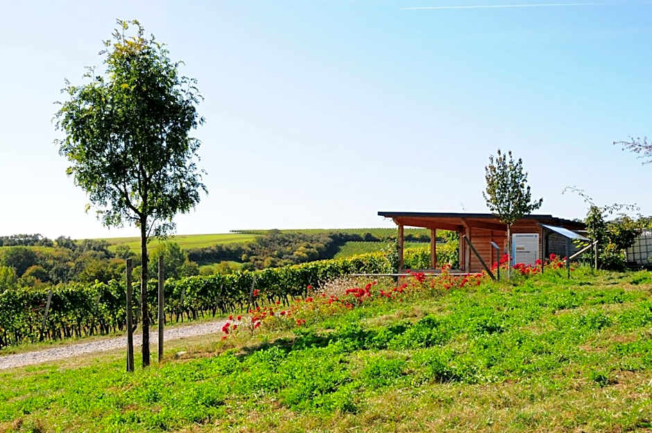 Aparthotel Alte Schmiede Dettelbach