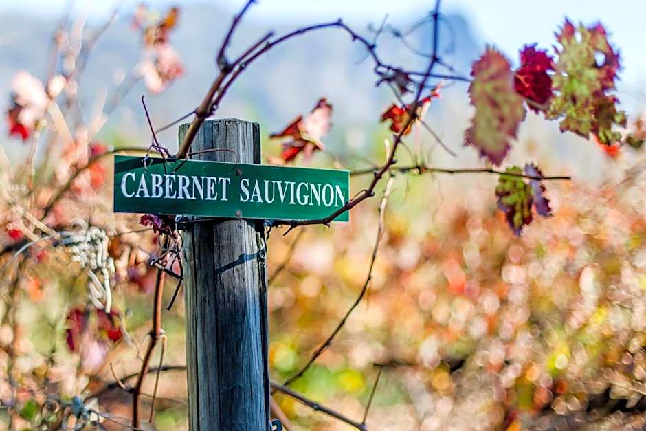 Le Manoir de Brendel