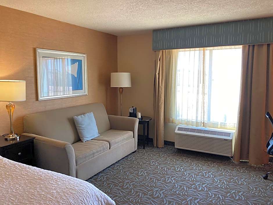 Hampton Inn By Hilton & Suites Carlsbad
