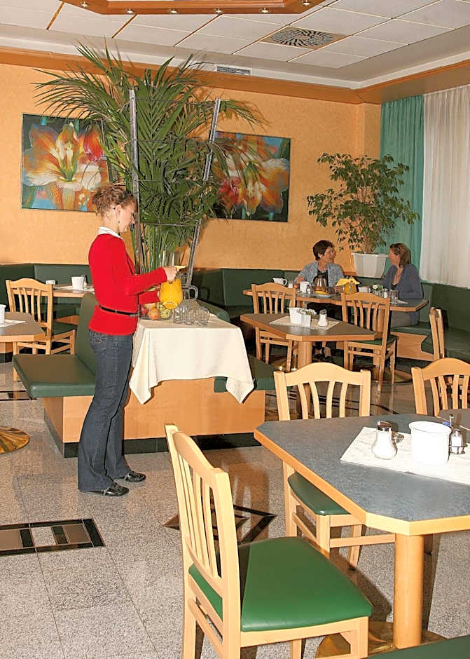 Hotel Asperner Löwe