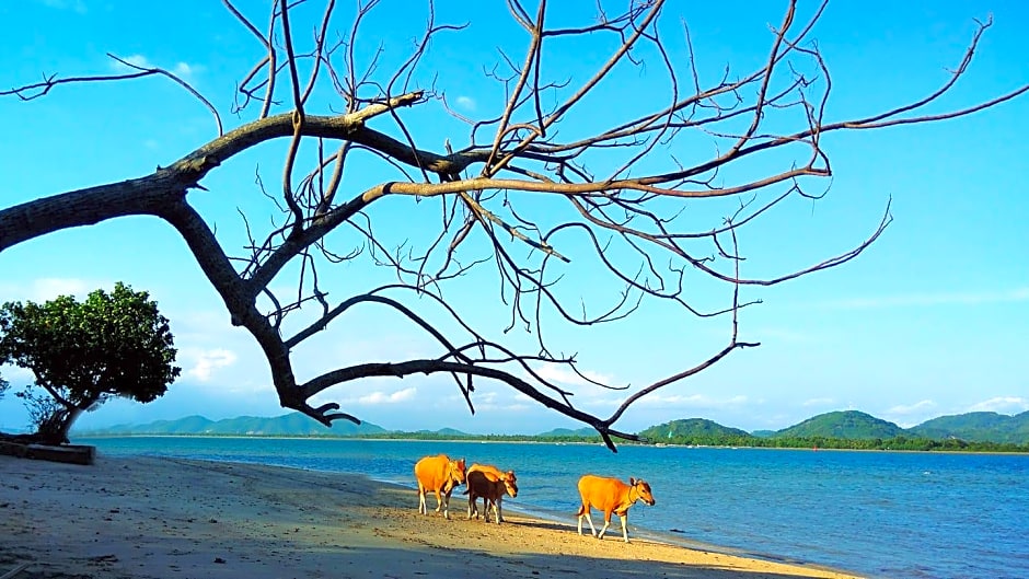 Catappa Village Lombok