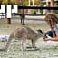 Nir David Country Lodge - Rustic Stay with Shelter Access