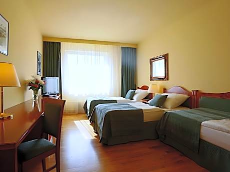 Triple Room with Shower or Bathtub