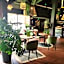Hotel Be Guest Limoges Sud ex Black & Green
