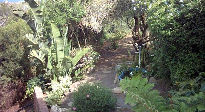 Dolphin View Guesthouse