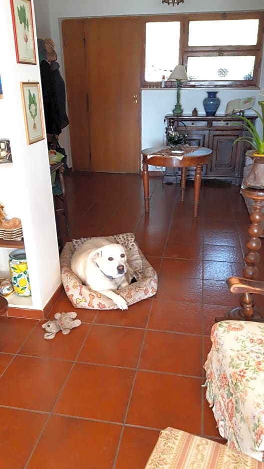 Da Franca