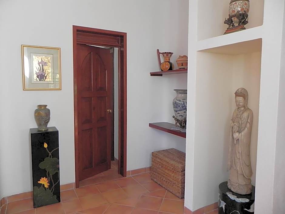 Casa Gatos